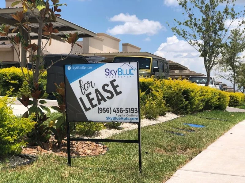 SkyBlue Management